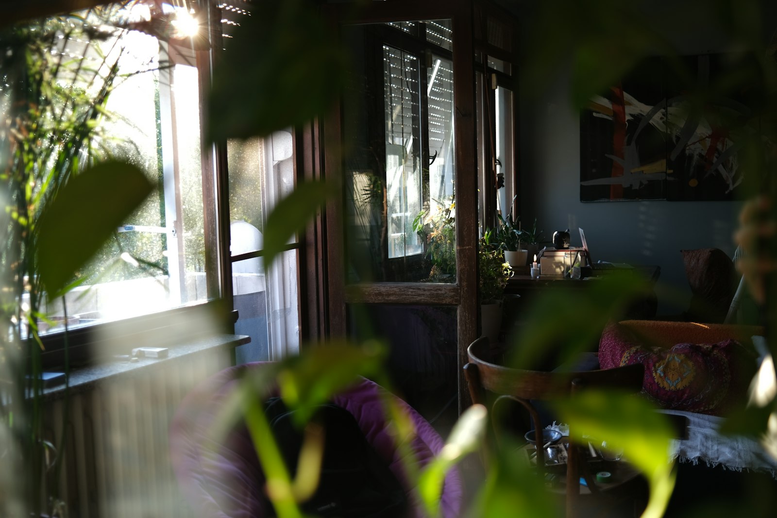 Sunlight streaming into a cozy, plant-filled living room